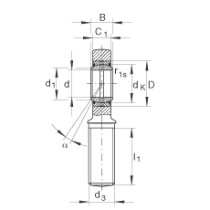 ˶ GAL45-DO-2RS,  DIN ISO 12 240-4 ׼ƣάഽܷ